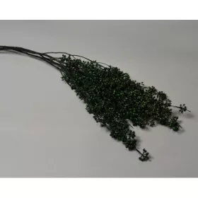 Eukalyptus ág csepp vil.zöld