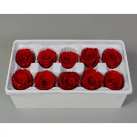 Örökrózsa 4cm piros