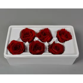 Örökrózsa 6cm piros