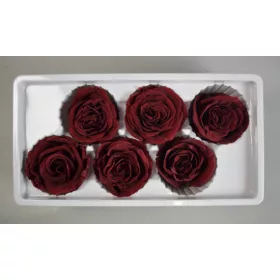 Örökrózsa 6cm bordó