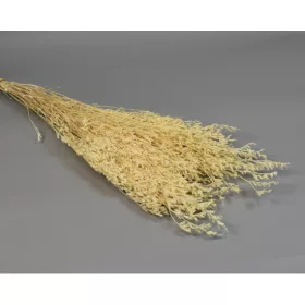 Sóvirág Limonium latifolium prep. fehérített