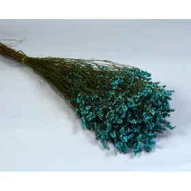 Sóvirág Limonium sinensis prep. vízkék