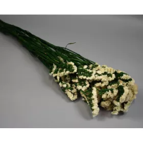 Sóvirág Limonium sinuatum prep. fehér