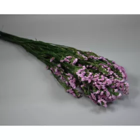 Sóvirág Limonium sinuatum prep. rózsaszín