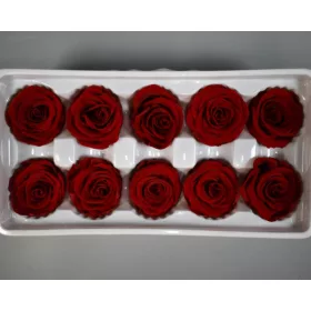 Örökrózsa 3-4cm A piros