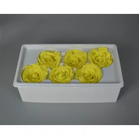 Örökrózsa 6cm sárga