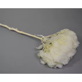 Hortenzia nagy szirmú 25cm fehérített