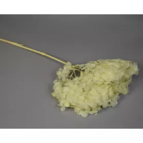 Hortenzia 15-20cm prep. vil.zöld