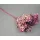 Hortenzia 15-20cm prep. Mix 2.
