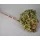 Hortenzia 15-20cm prep. Mix 5.