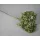 Hortenzia 15-20cm prep. Mix 6.