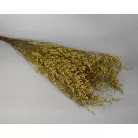 Sóvirág Limonium latifolium prep. sárga
