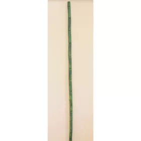 Bambusz 2m×3-3,5cm vil.zöld