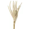 Zsálya köteg, 6 szálas, 50cm magas - Bézs