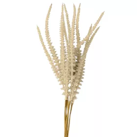 Zsálya köteg, 6 szálas, 50cm magas - Bézs