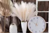 4 ágú pampafű ág, 58cm magas - Ekrü