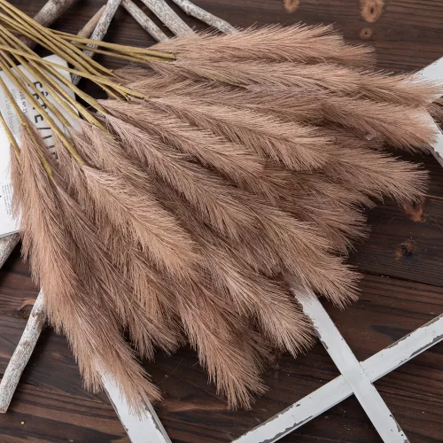 4 ágú pampafű ág, 58cm magas - Barna