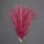 Ezüstös metál pampafű köteg, 20 szál, 45cm magas - Rose red