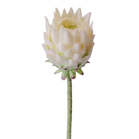 Protea selyemvirág szál, 60.5cm magas - Ekrü