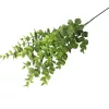 Eukaliptusz csokor, 3 ágú, 70cm magas - Világoszöld