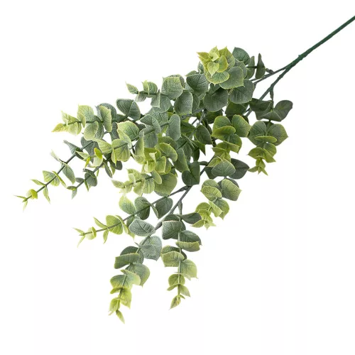 Eukaliptusz csokor, 3 ágú, 70cm magas - Zöld / Fehér