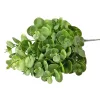 Eukaliptusz csokor, 5 ágú, 37cm magas - Sötétzöld