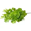 Eukaliptusz csokor, 5 ágú, 37cm magas - Világoszöld