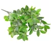 Eukaliptusz csokor, 7 ágú, 34cm magas - Világoszöld