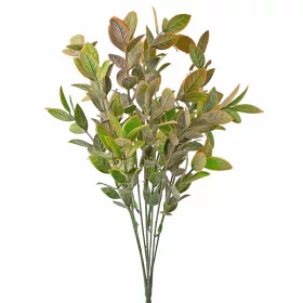 Eukaliptusz csokor, 7 ágú, 34cm magas - Zöld / Barna