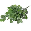 Eukaliptusz csokor, 7 ágú, 34cm magas - Sötétzöld
