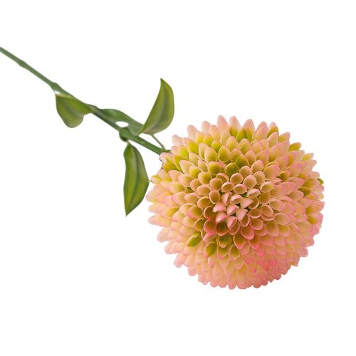 Dália szál, 50cm magas - Krém / Rózsaszín