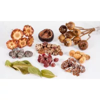 Dried decorative materials